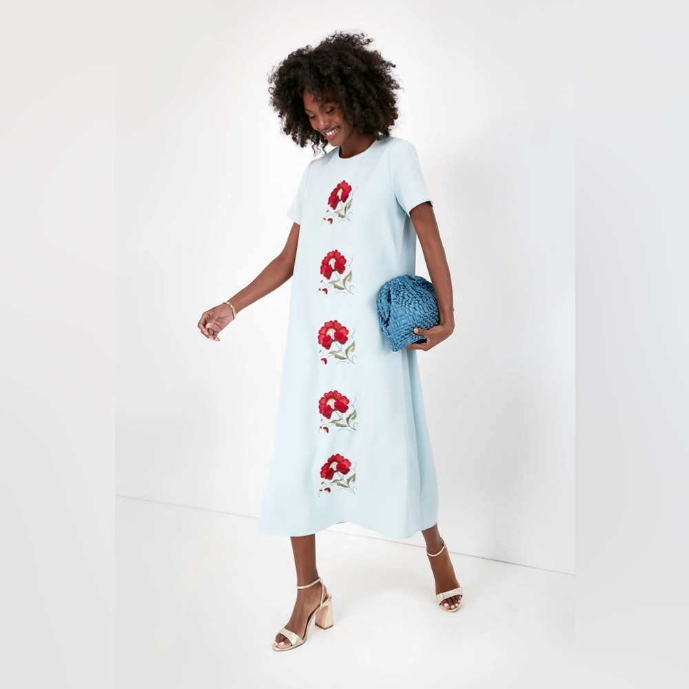 Tuckernuck Embroidered Floral James Dress A-line Red Flowers Baby Blue Dress XXL
